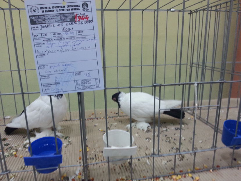  - Expozitia Nationala Bucuresti 2016