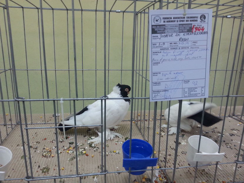  - Expozitia Nationala Bucuresti 2016