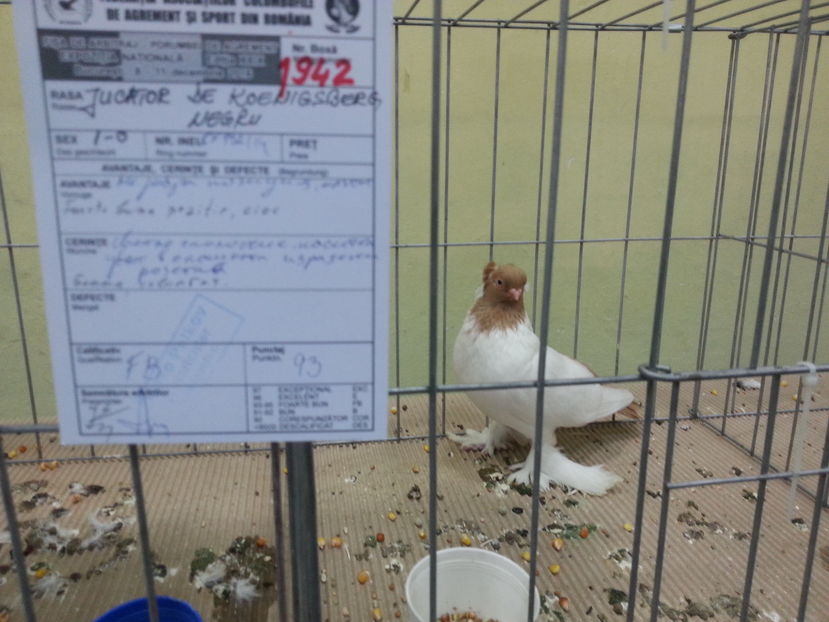  - Expozitia Nationala Bucuresti 2016