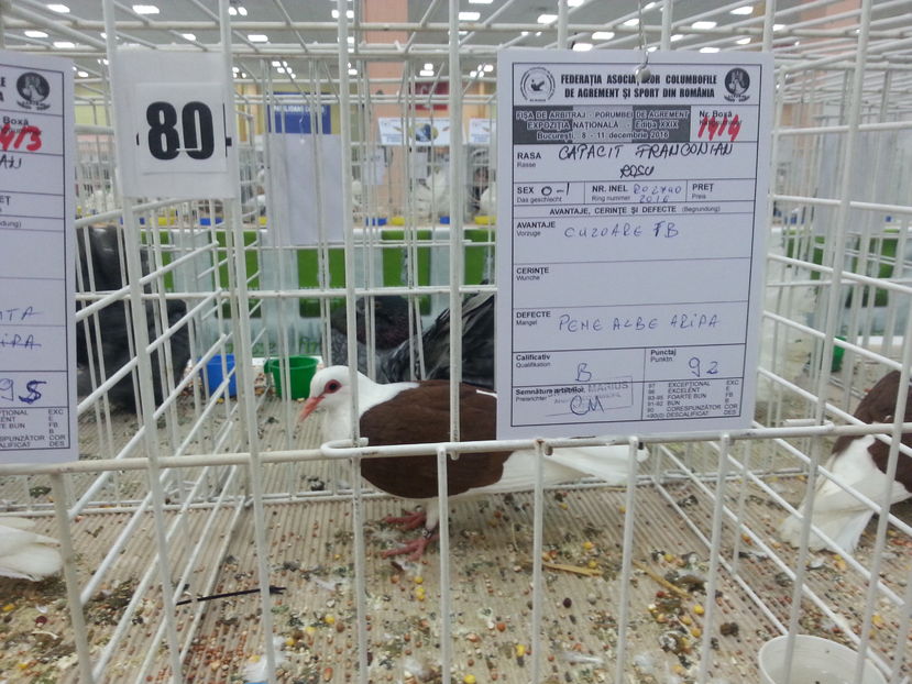  - Expozitia Nationala Bucuresti 2016