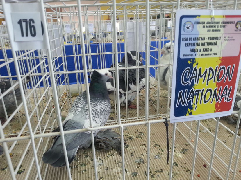  - Expozitia Nationala Bucuresti 2016