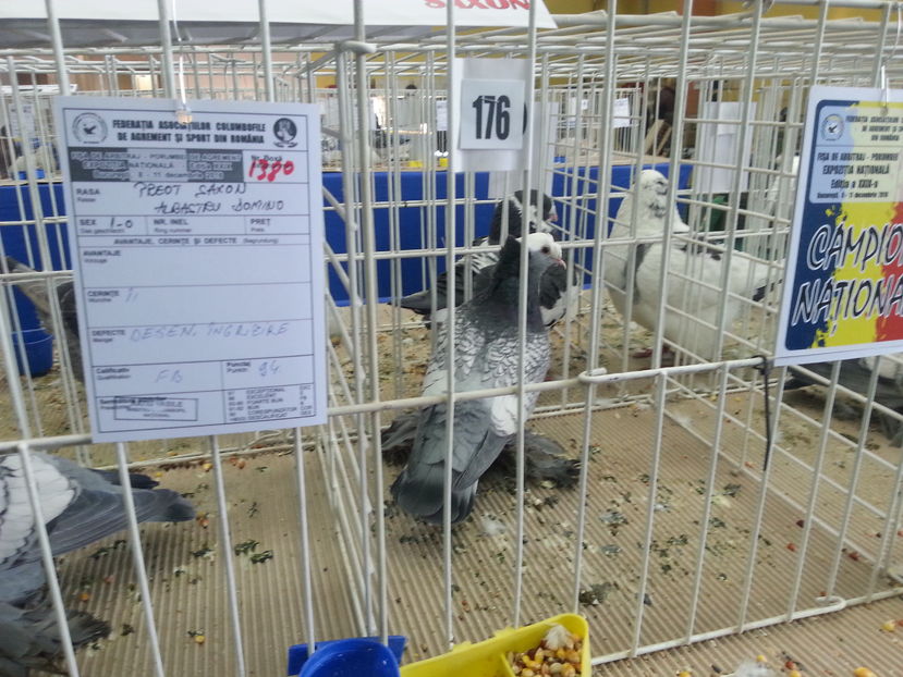 20161210_152749(0) - Expozitia Nationala Bucuresti 2016