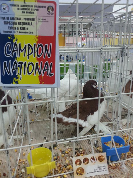 - Expozitia Nationala Bucuresti 2016