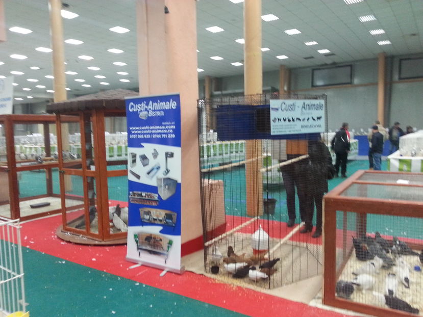  - Expozitia Nationala Bucuresti 2016