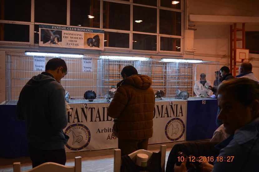 15326487_1153227568125455_5721762107724751432_n