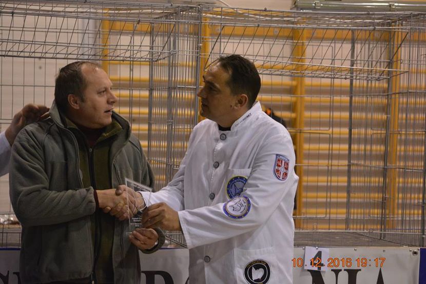 15337568_1153239698124242_6838321331977762859_n