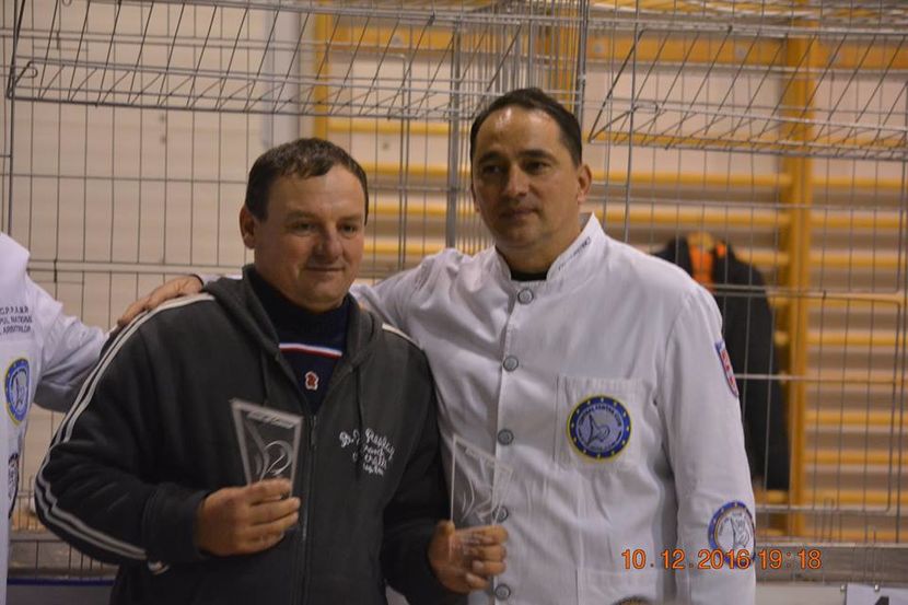 15337613_1153239014790977_8207275665672679326_n