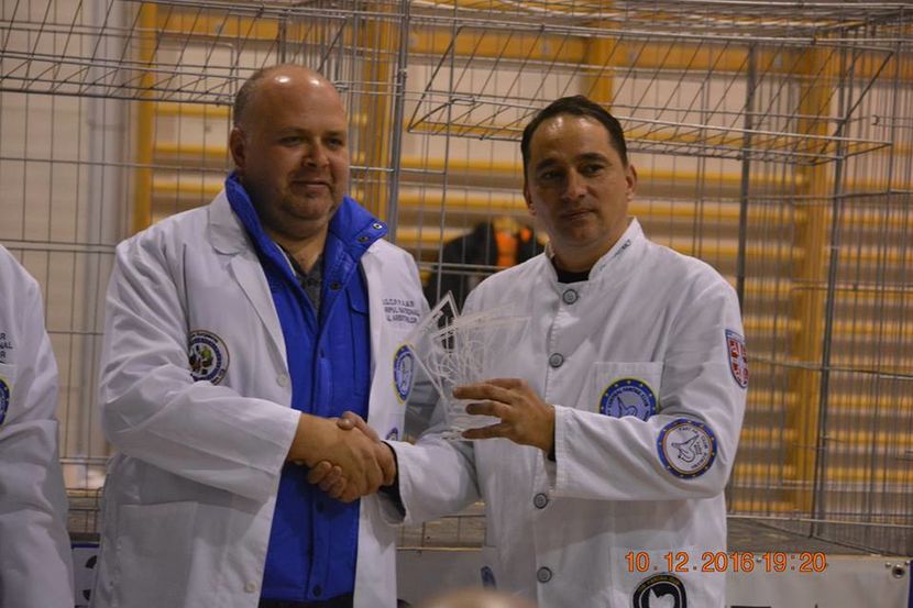 15338671_1153240354790843_8730464039522004155_n