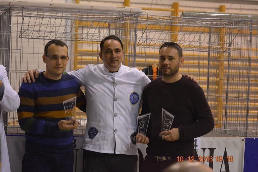 15349562_1153238608124351_6828590489322159647_n