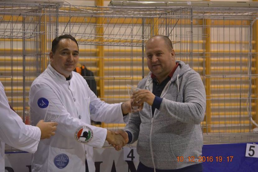 15356635_1153239678124244_5805345810061887854_n - Expozitia specializata Fantail Club Romania 2016