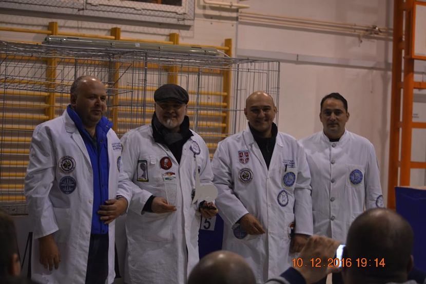 15380575_1153237701457775_9053314224711454272_n - Expozitia specializata Fantail Club Romania 2016