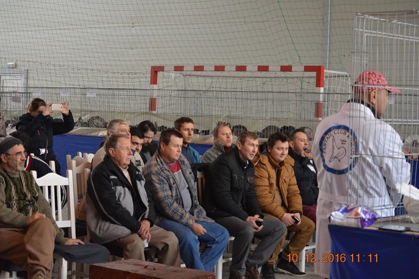 15401065_1153170968131115_2289961311560406317_n - Expozitia specializata Fantail Club Romania 2016