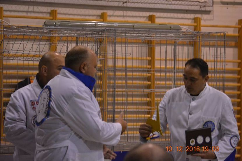 15439952_1153240868124125_5513978348551472302_n