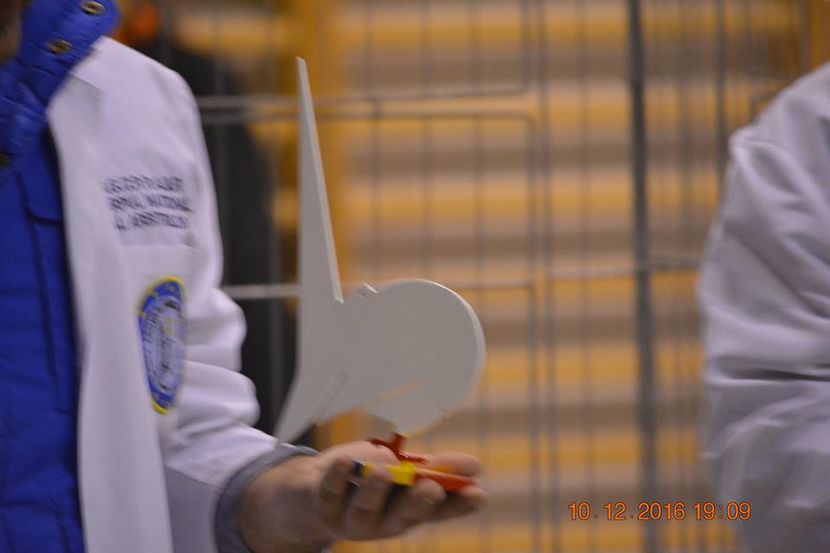 15439993_1153238314791047_8746478742484655080_n - Expozitia specializata Fantail Club Romania 2016