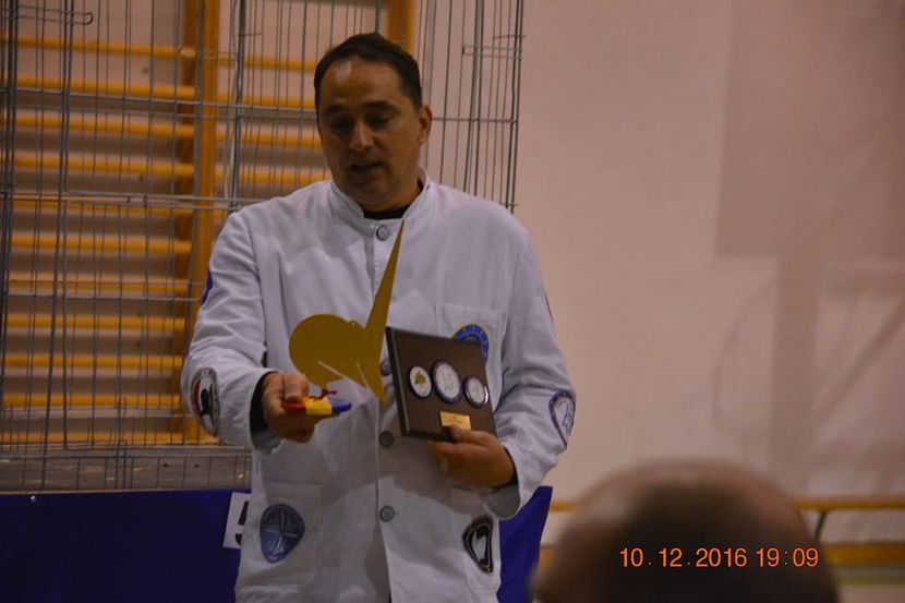 15442383_1153240178124194_7467066570889966060_n - Expozitia specializata Fantail Club Romania 2016