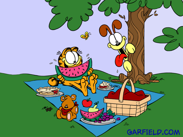Garfield--s-Picnic-Wallpaper-garfield-257357_1024_768 - poze Garfield