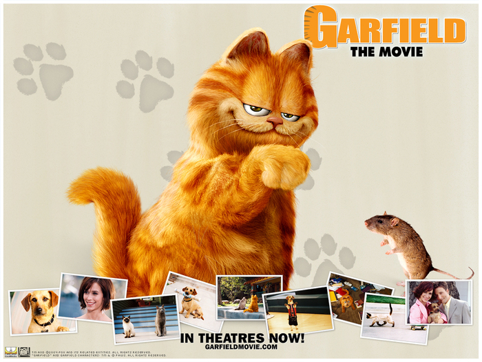 Garfield-the-Movie-garfield-4142231-1024-768 - poze Garfield