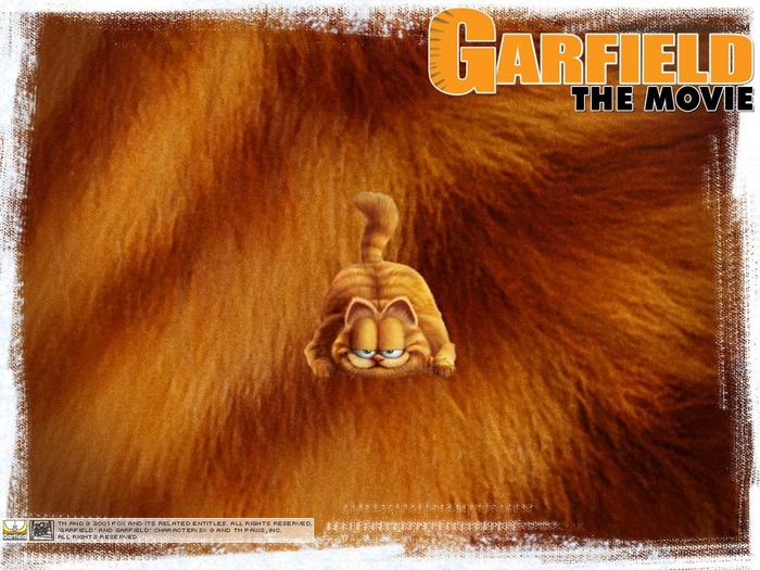 Garfield-The-Movie-Wallpaper-garfield-924318_1024_768 - poze Garfield
