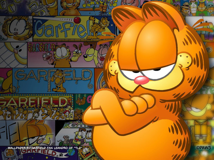 Garfield-wallpapers-garfield-2026918-1024-768