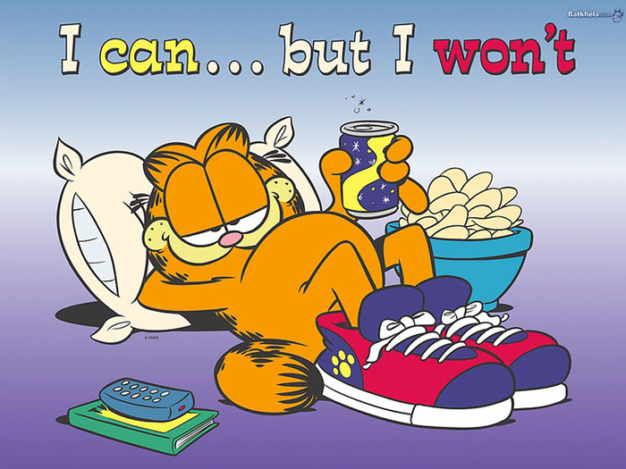 i-can-but-i-won-t--garfield-262532_1024_768 - poze Garfield