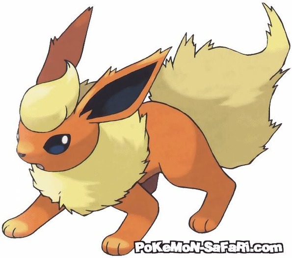 Flareon[1]; draguta si puternica
