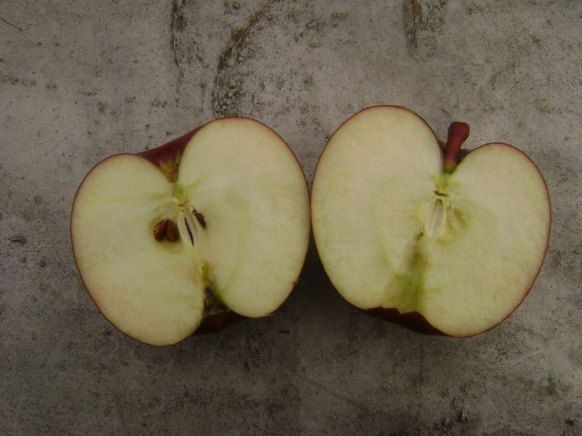 Mar Abbondanza 14; Mar Abbondanza
