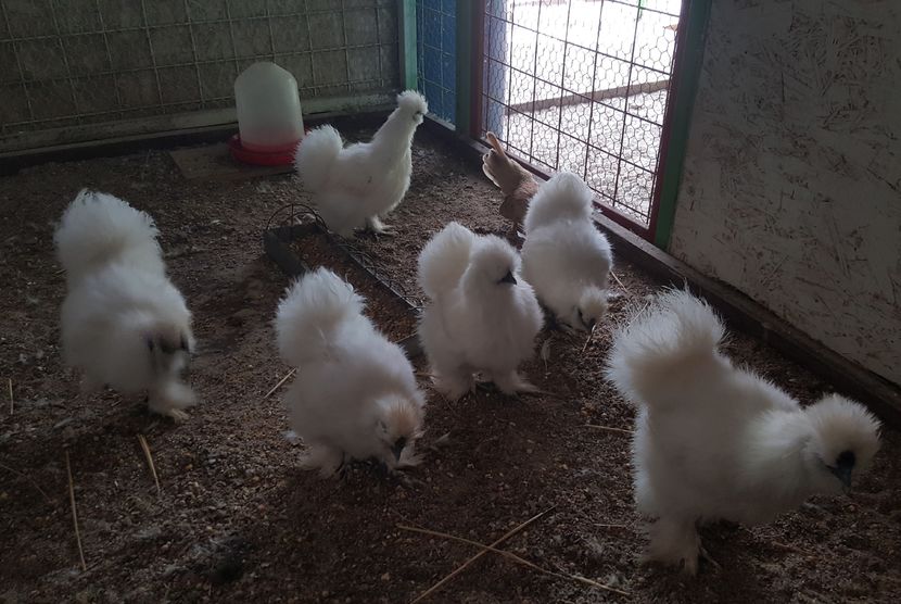 2016-12-10 11.47.29 (2)