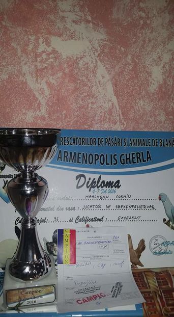 Campion armenopolis gherla 2016 - Cupe si medalii