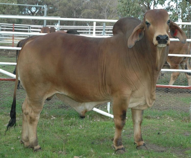 27da6db664641cf49f8330d39446d4ac