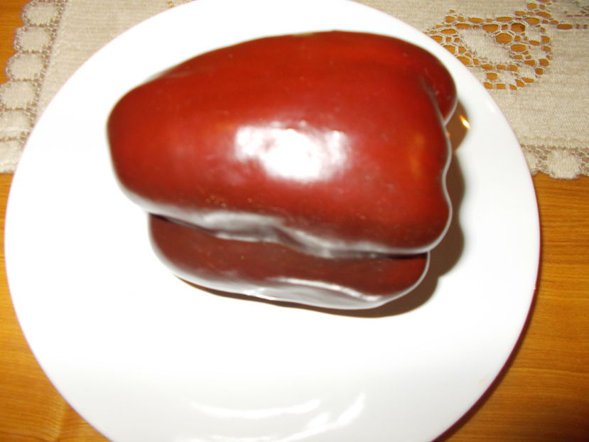  - SEMINTE ARDEI - A 08 MARON CHOCOLATE BEAUTY