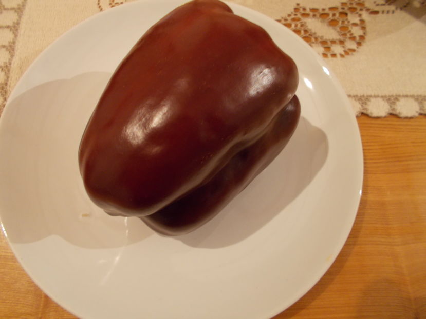  - SEMINTE ARDEI - A 08 MARON CHOCOLATE BEAUTY