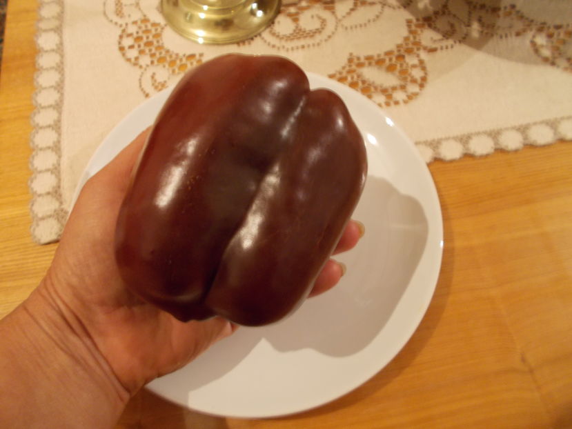  - SEMINTE ARDEI - A 08 MARON CHOCOLATE BEAUTY