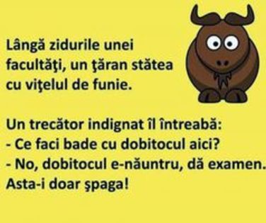 100717418_QFSBRWD - Diverse