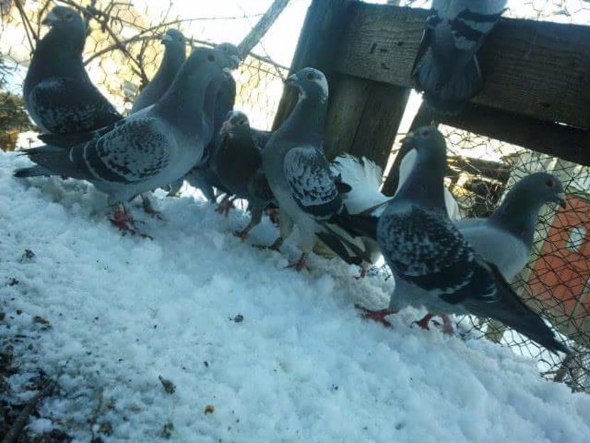 received_136358026740218