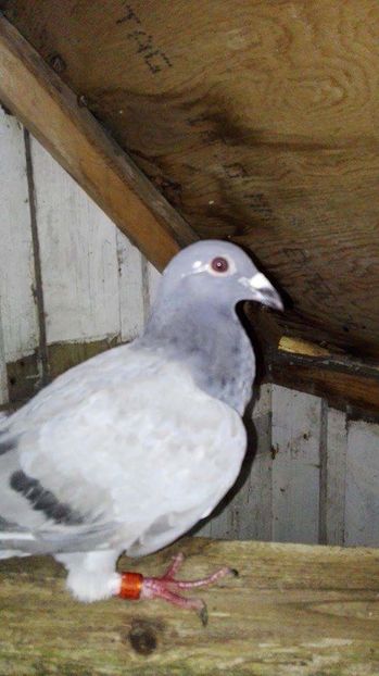 received_307324352934668