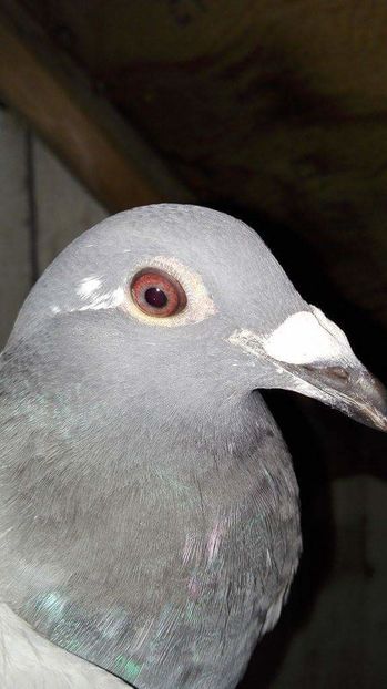 received_307324356268001