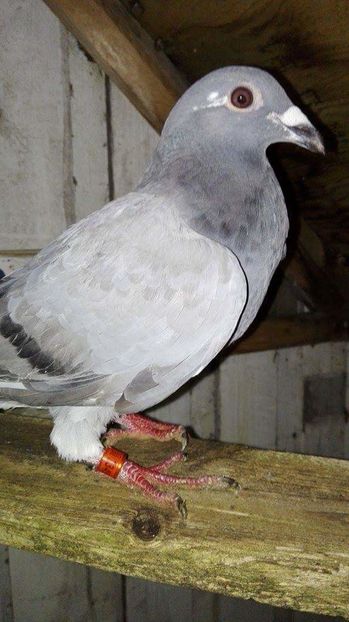 received_307324366268000