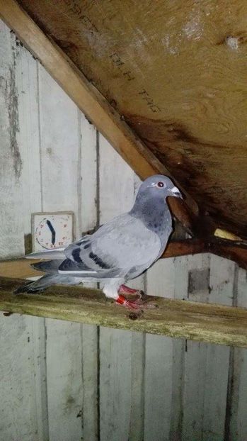 received_307324369601333