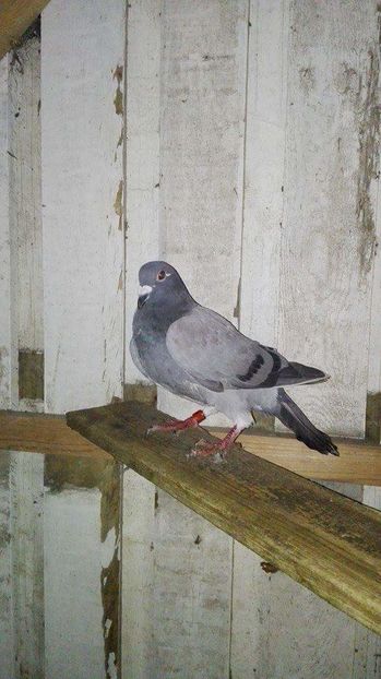 received_307324422934661