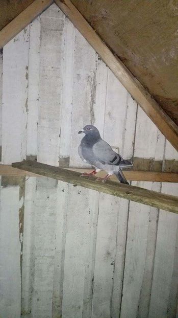 received_307324466267990