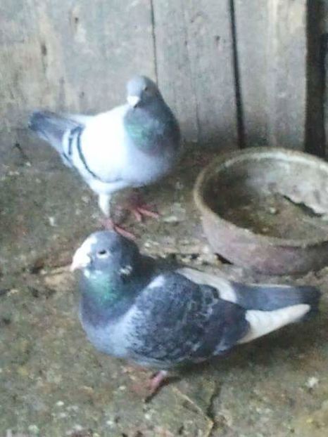 received_879631882165098