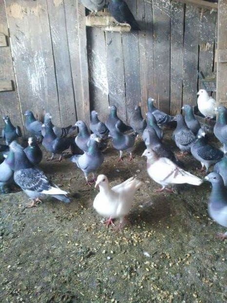 received_879632165498403