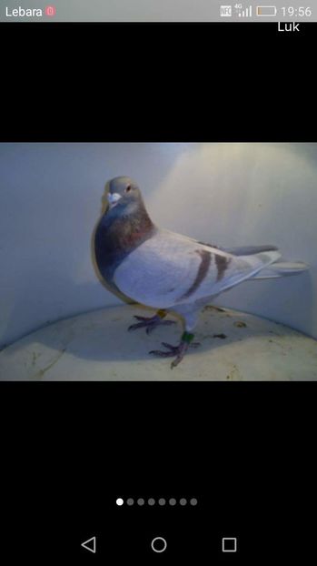 received_232590080408096