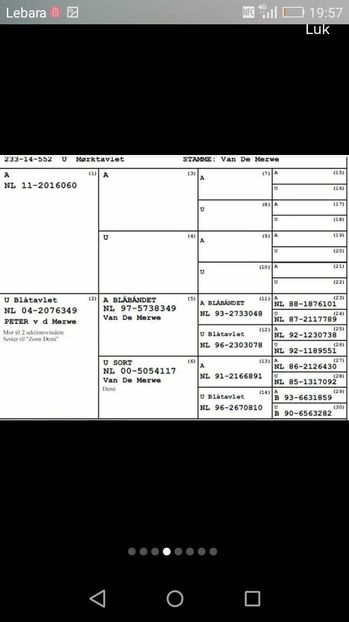 received_232589977074773