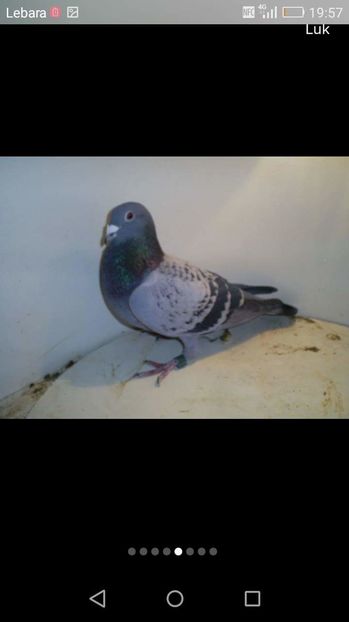 received_232589943741443