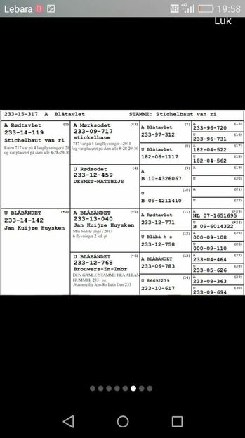 received_232589917074779