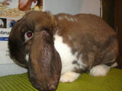 C__Data_Users_DefApps_AppData_INTERNETEXPLORER_Temp_Saved Images_106033888_YYTOLAQ