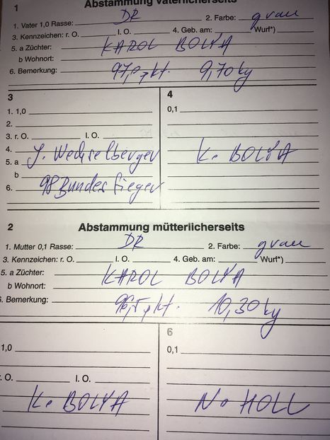 B 776 95169 (M2) urechi 22cm