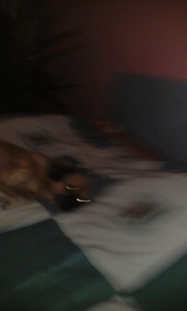  - telefon Rodi