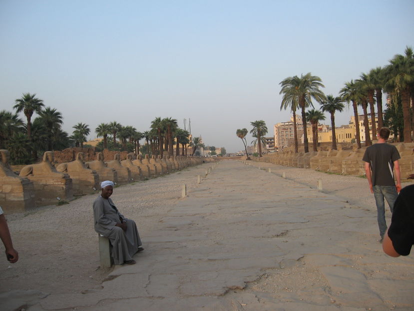 Picture 005 - Egipt 2010